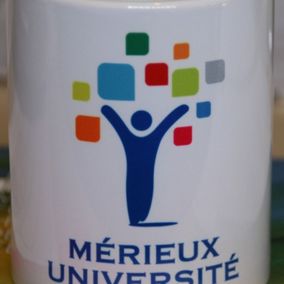 Tasse aux couleurs d'une université